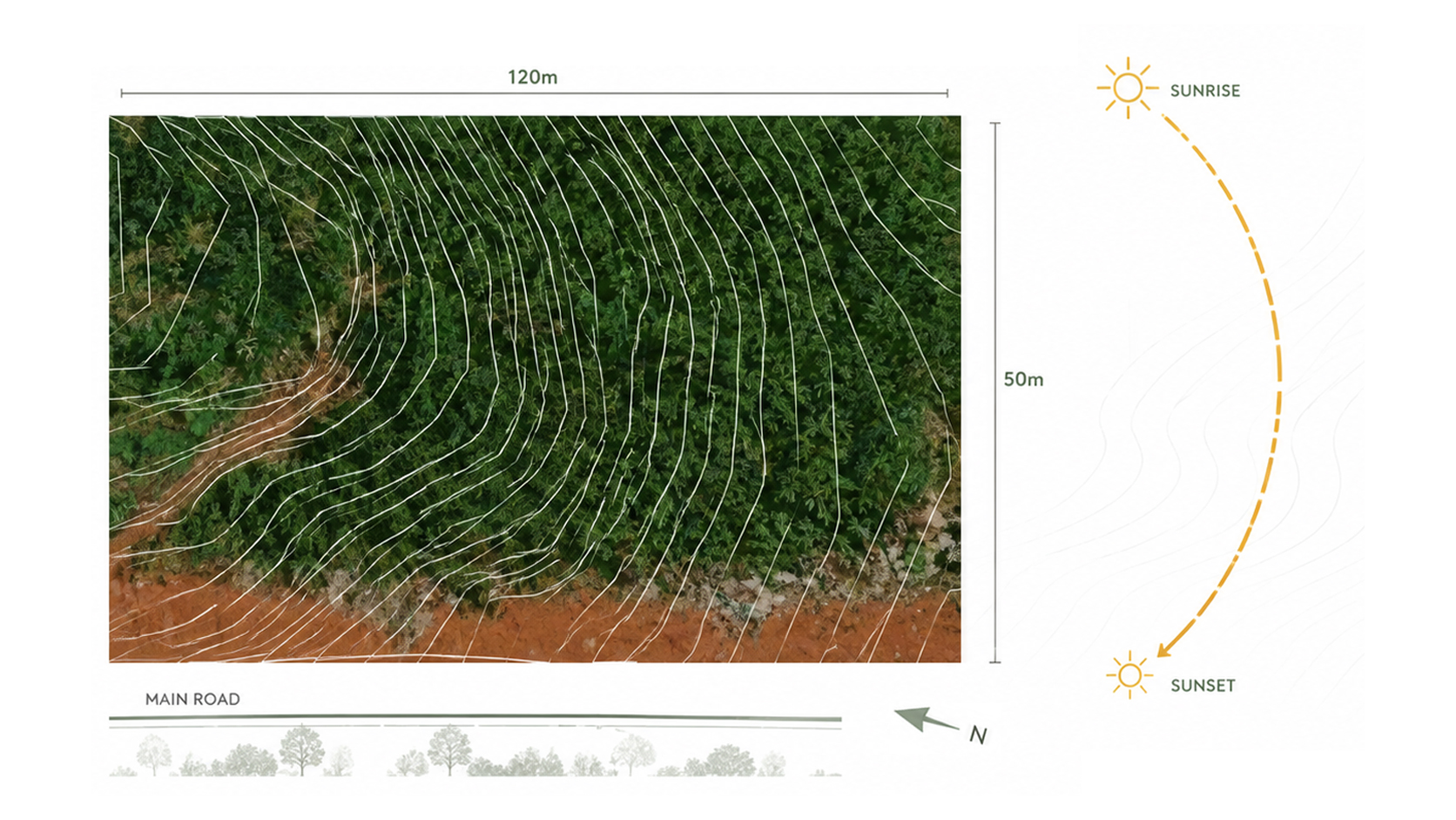 Site topography and sun path