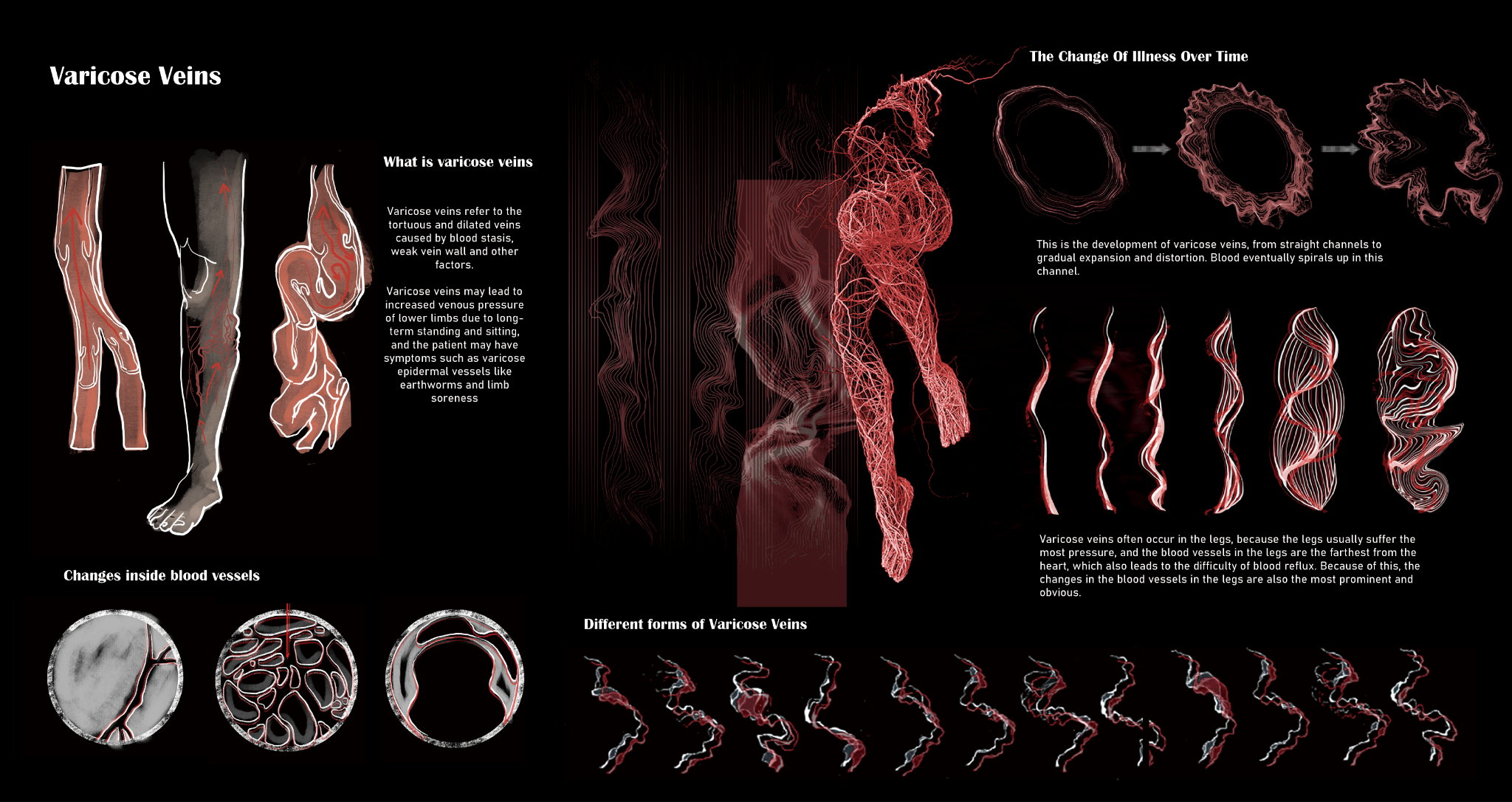 The Pulse Of The Earth presentation page 2
